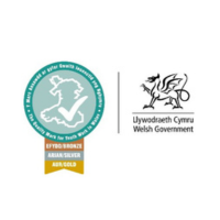 QM Mark and Welsh Government logo